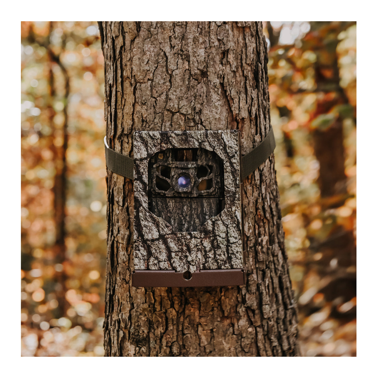 Browning Trail Cameras - Dark Ops FHDR40 (4-Pack) Bundle with Accessories