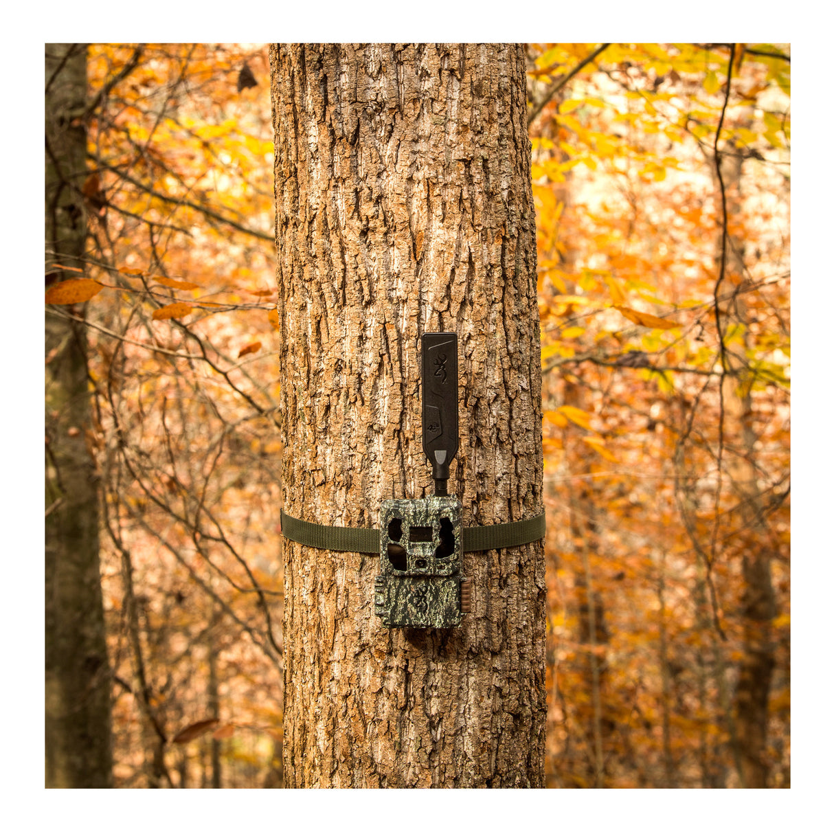 Browning Trail Cameras - Defender Wireless Pro Scout Max HD AI (6-Pack) Bundle