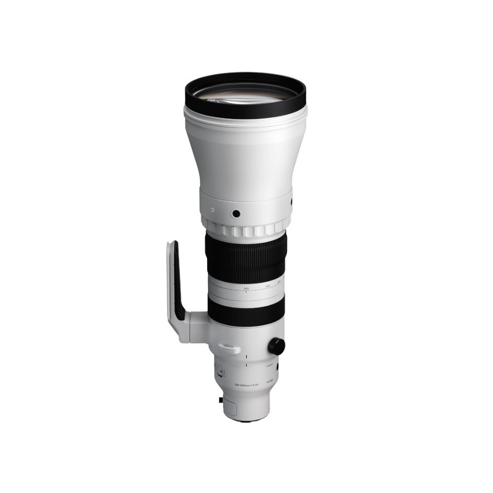 Sigma 300-600mm f/4 DG OS Sports Lens (L Mount) Bundle with Accessories