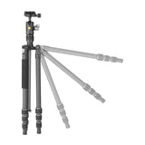 Vanguard VestaGO 204CB Ultra Lightweight Carbon Fiber Travel Tripod with VEO BH-45 Ball Head (Black)