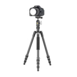 Vanguard VestaGO 204CB Ultra Lightweight Carbon Fiber Travel Tripod with VEO BH-45 Ball Head (Black)