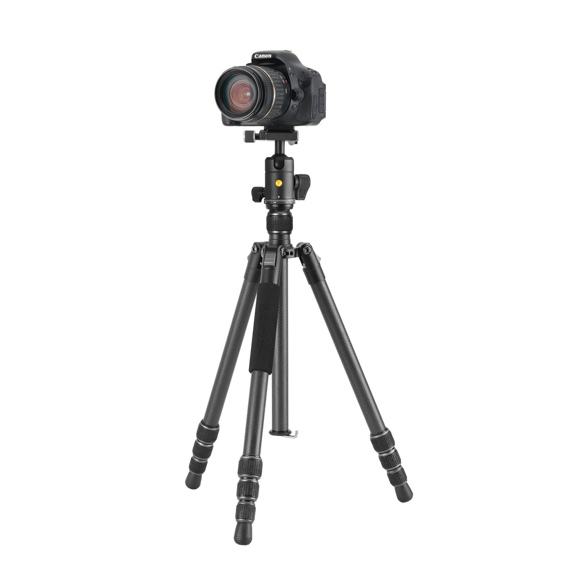 Vanguard Vesta GO 264CB Carbon Fiber Travel Tripod with VEO BH-60 Ball Head