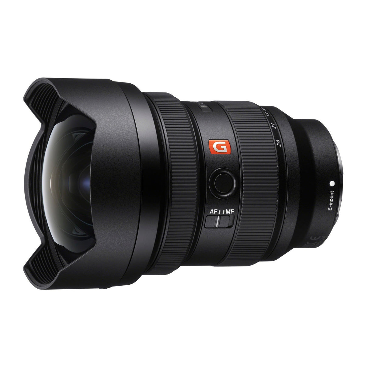 Sony FE 12-24mm f/2.8 G Master Full-Frame Ultra-Wide Zoom Lens (Black) with Weatherproof Hard Case