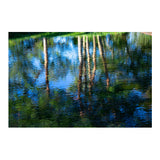 Sigma 56mm f/1.4 Contemporary DC DN Prime Lens (Sony E-Mount) Bundle