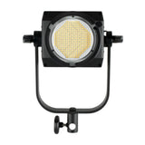 Nanlite FS-300 Daylight AC LED Monolight