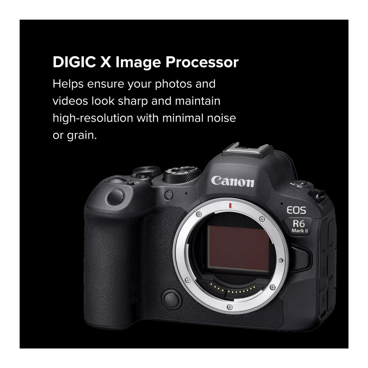 Canon EOS R6 Mark II Mirrorless Camera with 24.2MP CMOS Sensor 4K Video (Black)