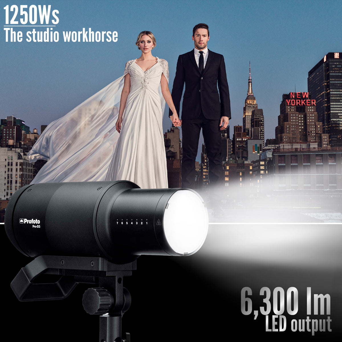 Profoto Pro-D3 Industrial-Grade Monolight (1250W) and Canon Connect Pro Bundle