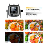 GVM PR150D Bi-Color LED Video Light Kit with Lantern Softbox