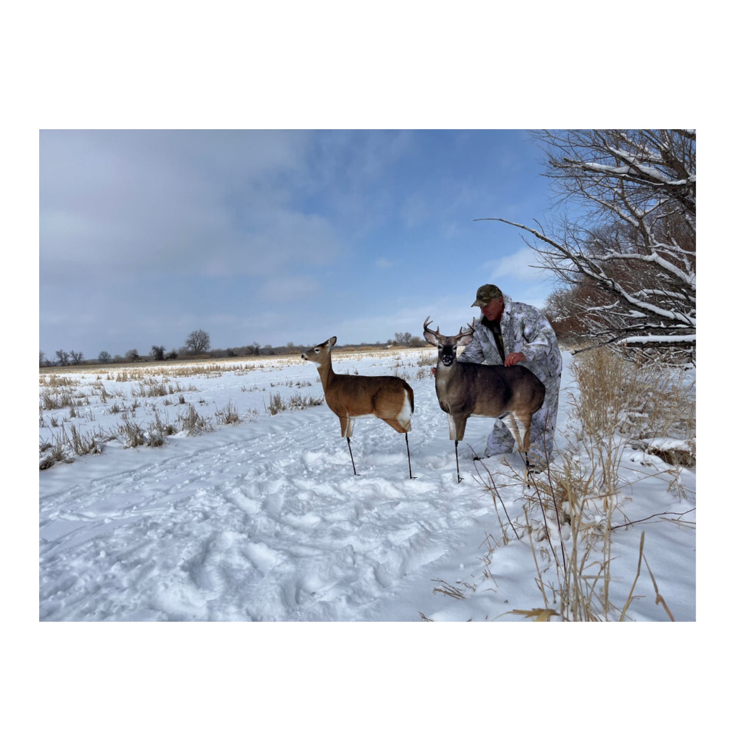 Montana Decoy Dream Team Buck and Doe - Thumbnail 2