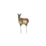 Montana Decoy Antelope Combo - Realistic Buck and Doe Set