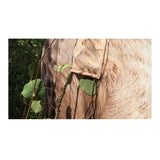 Montana Back Country Elk Decoy - Ultra-Lightweight and Foldable