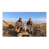 Montana The Song Dog Realistic Coyote Decoy with 3D Moving Tail