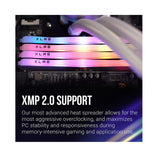 PNY 16GB XLR8 DDR4 3600 MHz RGB Dual Channel Desktop (DIMM) Memory Kit (2 x 8GB)