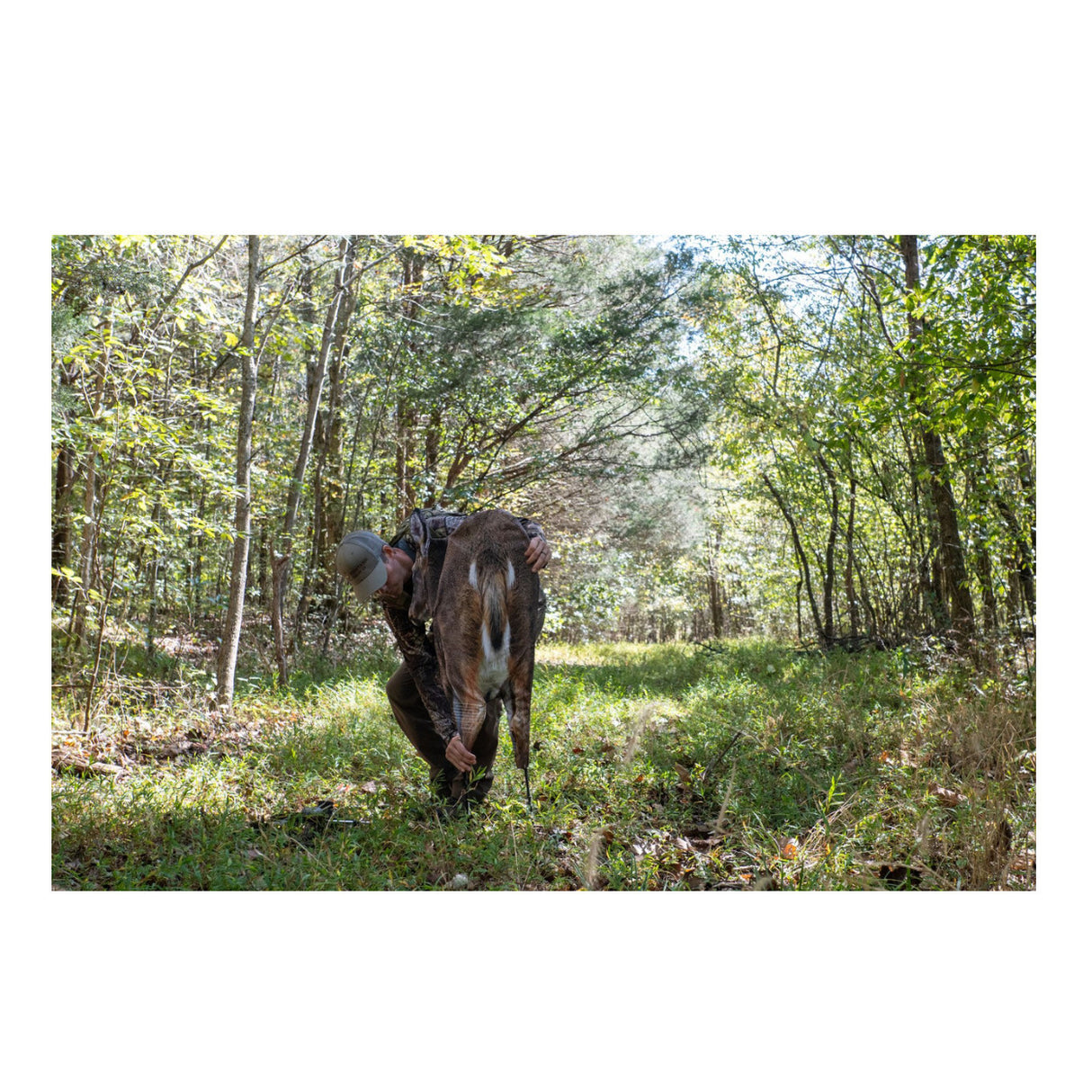 Montana Decoy Deer Rump Whitetail Decoy  Lightweight and Foldable Hunting Decoy