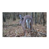 Montana Decoy Deer Rump Whitetail Decoy  Lightweight and Foldable Hunting Decoy