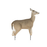 Montana Decoy Dreamy Doe Whitetail Deer Decoy