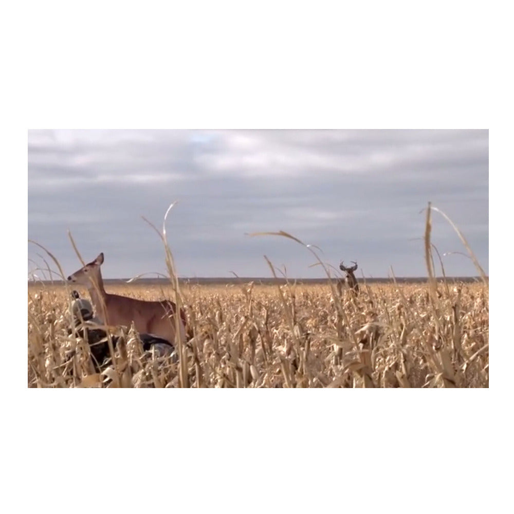 Montana Decoy Dreamy Doe Whitetail Deer Decoy