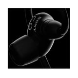 Sony INZONE E9 Wired in-Ear Monitor for Gaming (Black)
