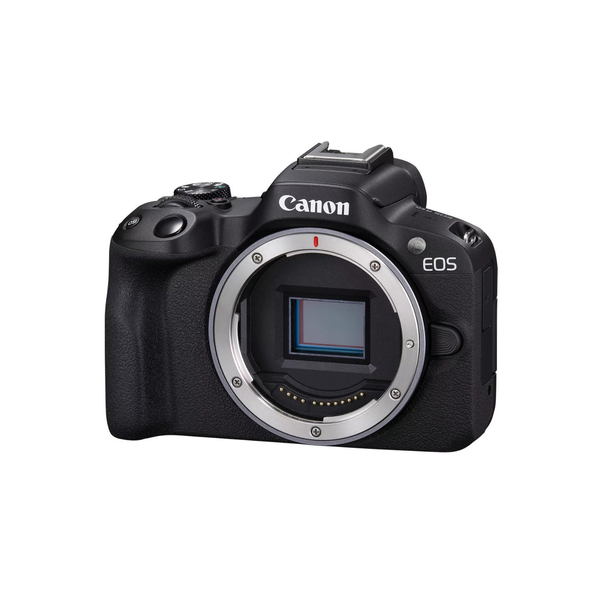 Canon EOS R50 Body with Cropping Guide Firmware and 24.2MP APS-C Sensor (Black) (Open Box)