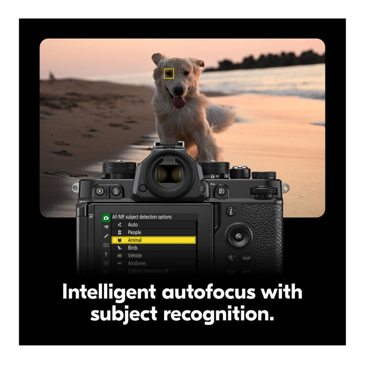 Nikon Zf Mirrorless Camera with 40mm Lens - 24.5MP, 4K UHD Video (Silver)