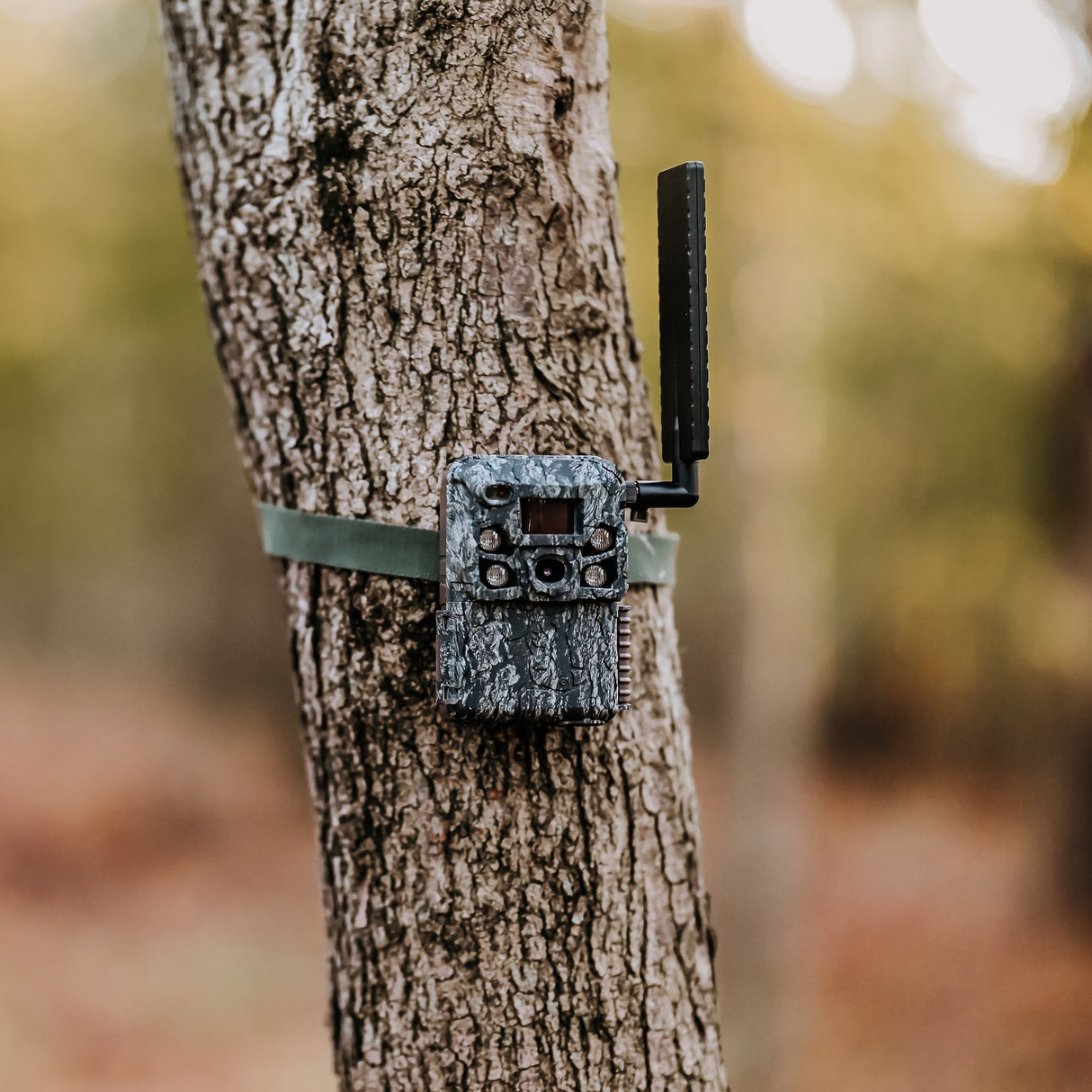 Browning Trail Camera - Defender Wireless Vision Pro HD AI 46MP Bundle