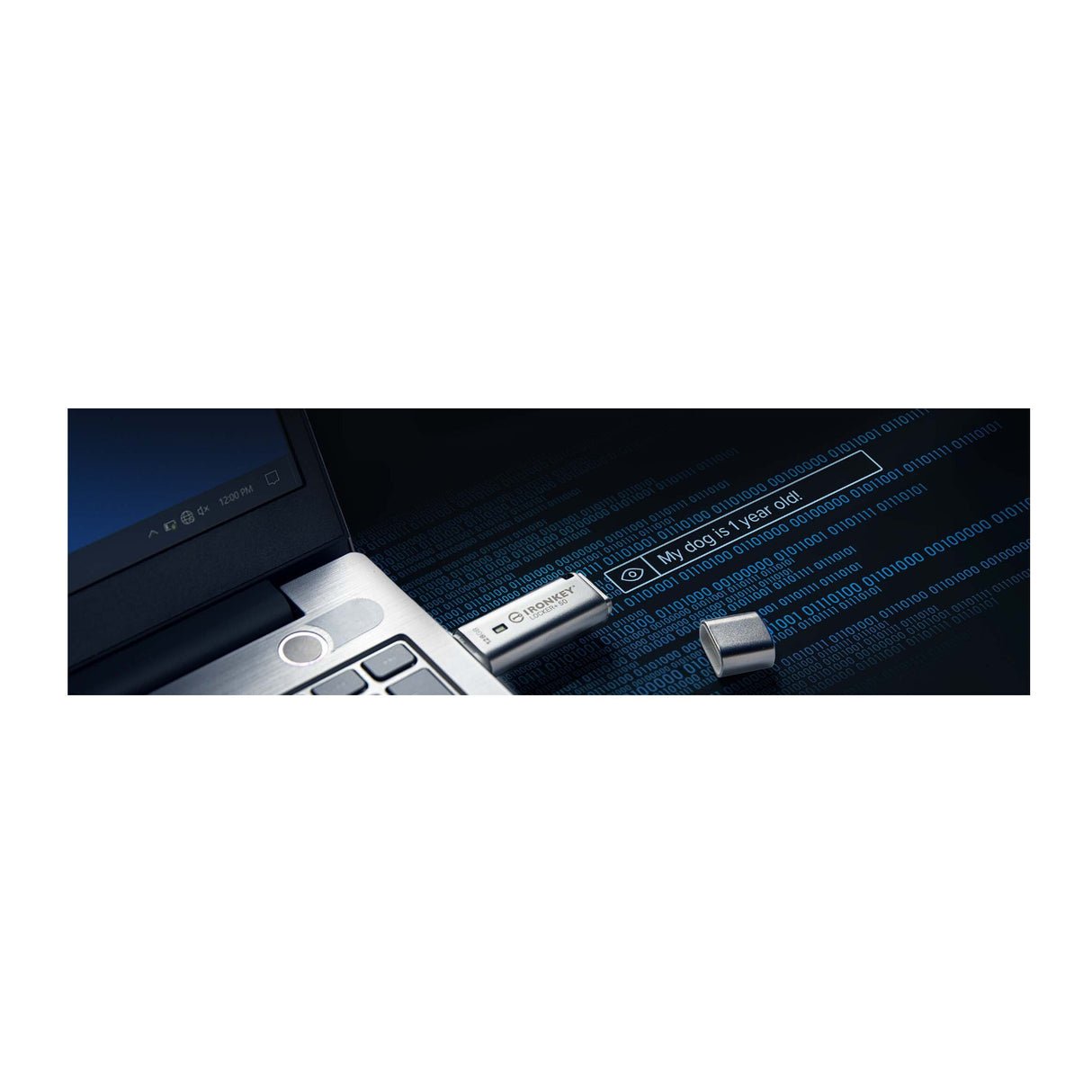 Kingston 128GB IronKey Locker+ 50 USB Type-A Flash Drive