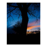 Fujifilm X-T50 BODY, CHARCOAL SILVER with XF16-50MM LENS KIT