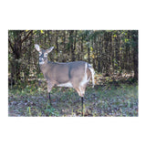 Montana: Trixie Whitetail Doe - Ultra-Realistic Deer Decoy with Teaser Tails