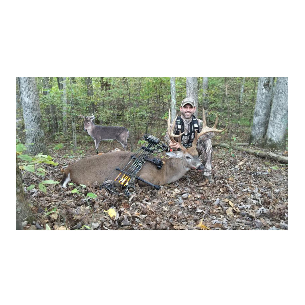 Montana: The Freshman (Whitetail Buck Decoy)