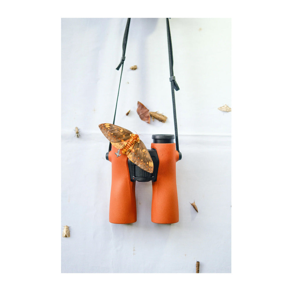 Swarovski NL PURE 10x42 Burnt Orange