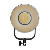 Nanlite FS-300 Daylight AC LED Monolight with Rapid 90 Parabolic Softbox Bundle
