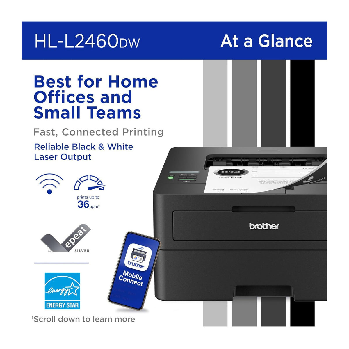 Brother HL-L2460DW Wireless Laser Printer and 2PK Black Toner Cartridge Bundle