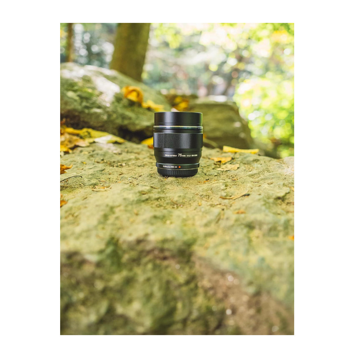 OM System M.Zuiko Digital ED 75mm f/1.8 Lens for Micro Four Thirds Cameras