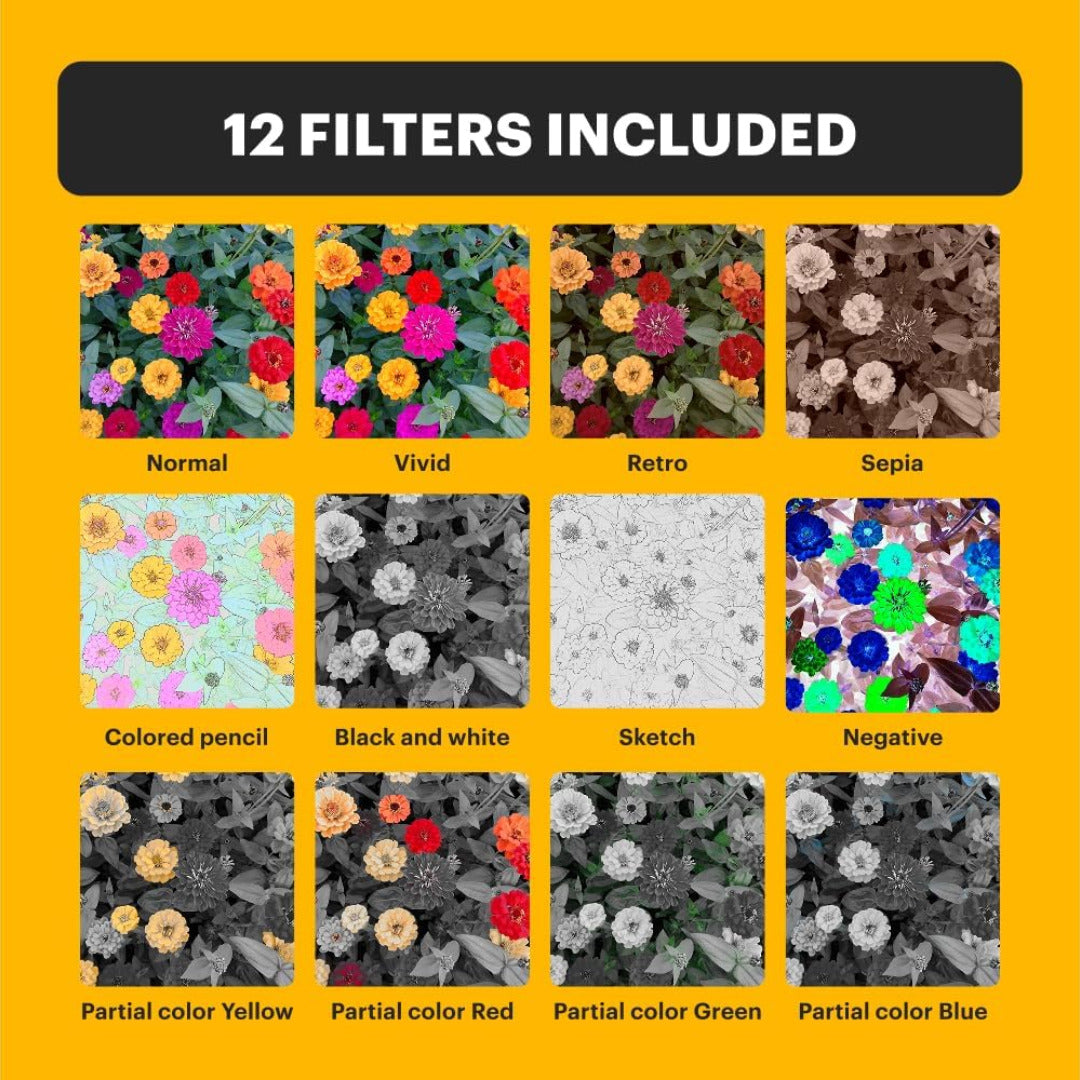 KODAK PIXPRO C1 Friendly Zoom 13MP 1080p Digital Camera (Tan) Bundle