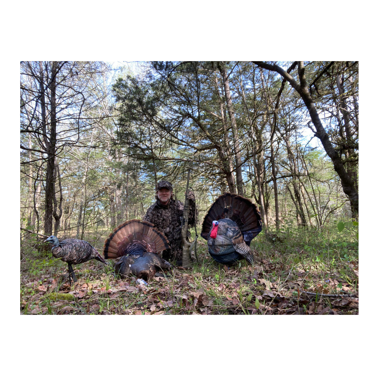Montana Decoy Wiley Tom 3D Turkey Decoy - Ultralight Collapsible 3D Design