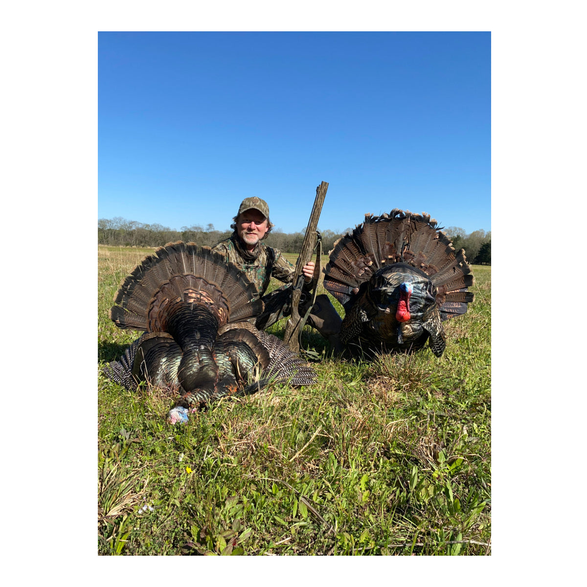 Montana Decoy Wiley Tom 3D Turkey Decoy - Ultralight Collapsible 3D Design