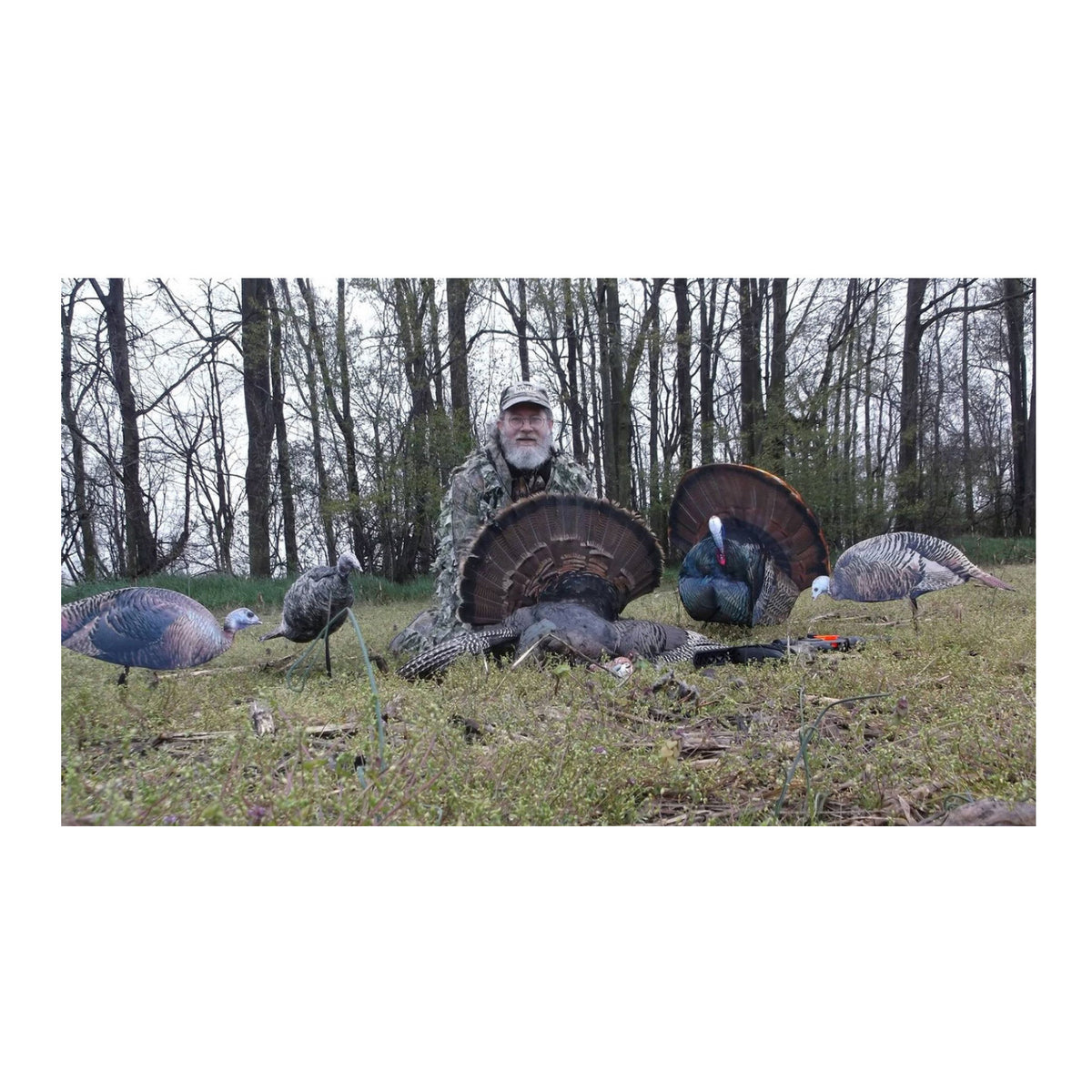Montana Decoy Spring Fling Turkey Decoy - Foldable and Portable, Photo-Realistic