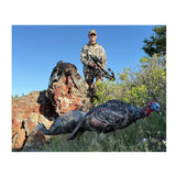 Montana Decoy Jake Purr-Fect XD3 Realistic Turkey Decoy with Magnetic Leg Pole