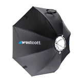 Westcott FJ250 Strobe 1-Light Backpack Kit with FJ-X3 Wireless Trigger for Sony (Open Box)