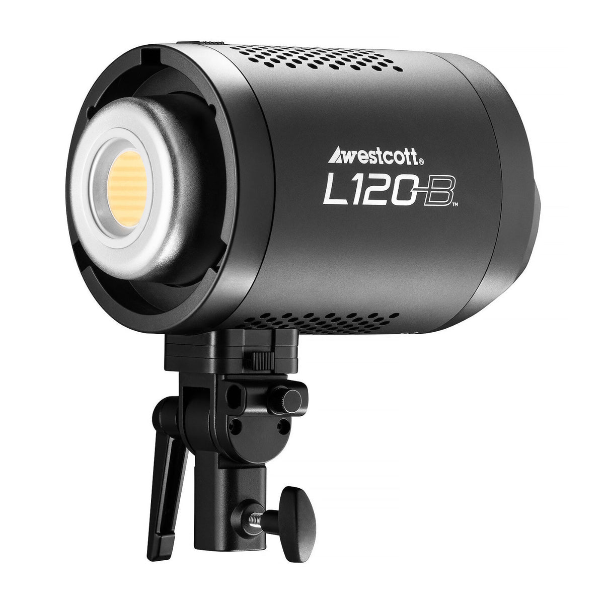 Westcott L120-B Bi-Color LED Monolight (1-Light Backpack Kit) (Open Box)