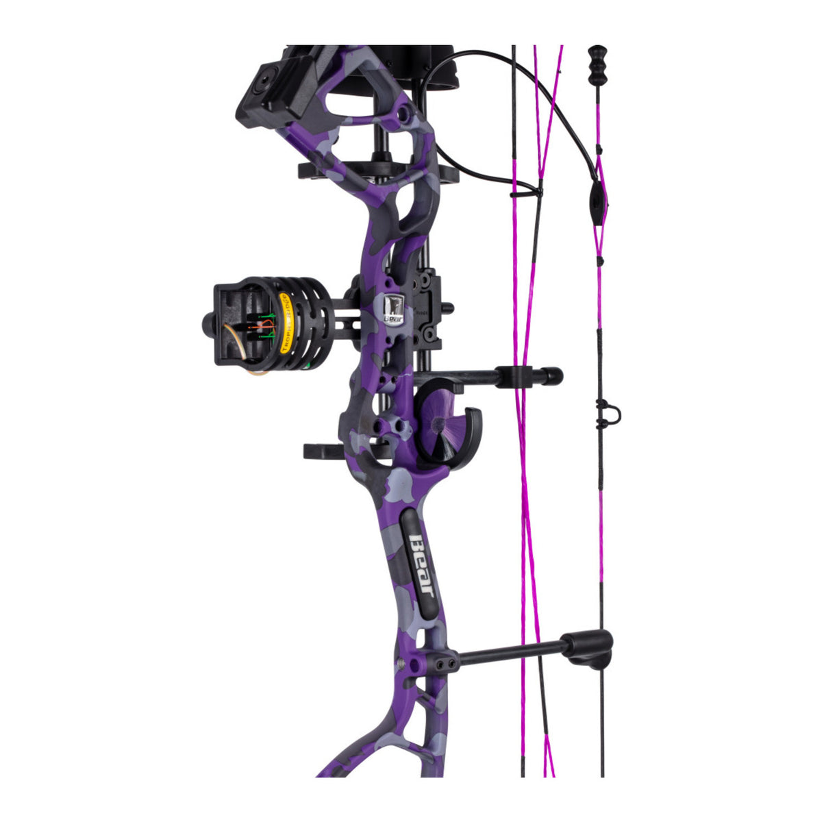 Bear Archery Royale RTH 50 Fred Bear Twilight (Right Hand)