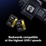 Lexar 128GB Professional 1800x UHS-II SDXC Memory Card (GOLD Series, 2-Pack) (Open Box)