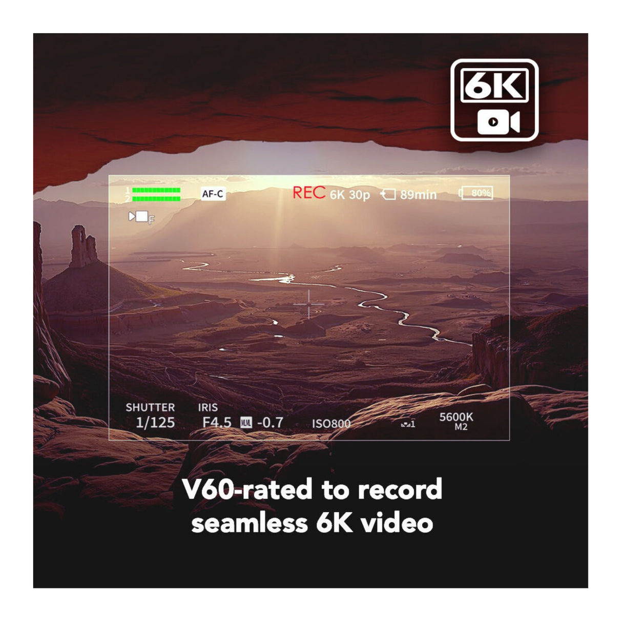 Lexar Professional ARMOR GOLD 128GB UHS-II V60 SDXC Memory Card