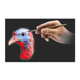 Montana Decoy Purr-Fect Pair XD3 Combo Turkey Decoys with Multiple Pose Options (Open Box)