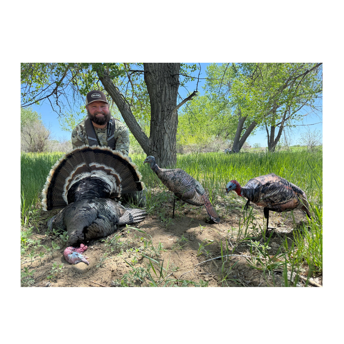 Montana Decoy Purr-Fect Pair XD3 Combo Turkey Decoys with Multiple Pose Options (Open Box)