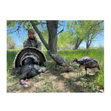 Montana Decoy Purr-Fect Pair XD3 Combo Turkey Decoys with Multiple Pose Options (Open Box)