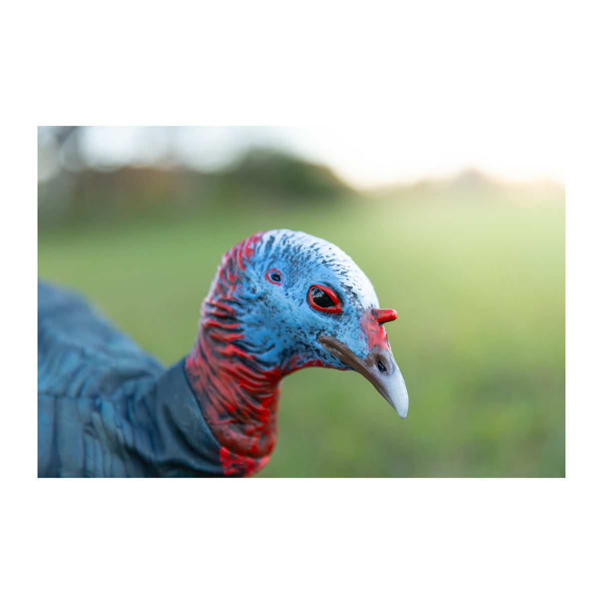 Montana Decoy Purr-Fect Pair XD3 Combo Turkey Decoys with Multiple Pose Options (Open Box)
