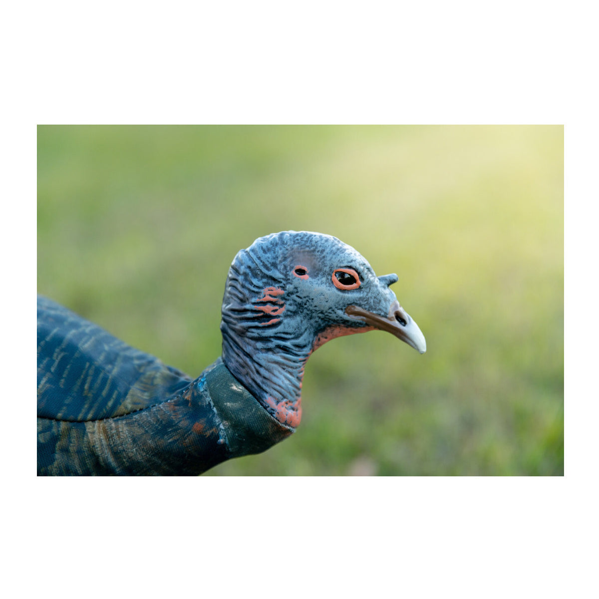 Montana Decoy Purr-Fect Pair XD3 Combo Turkey Decoys with Multiple Pose Options (Open Box)