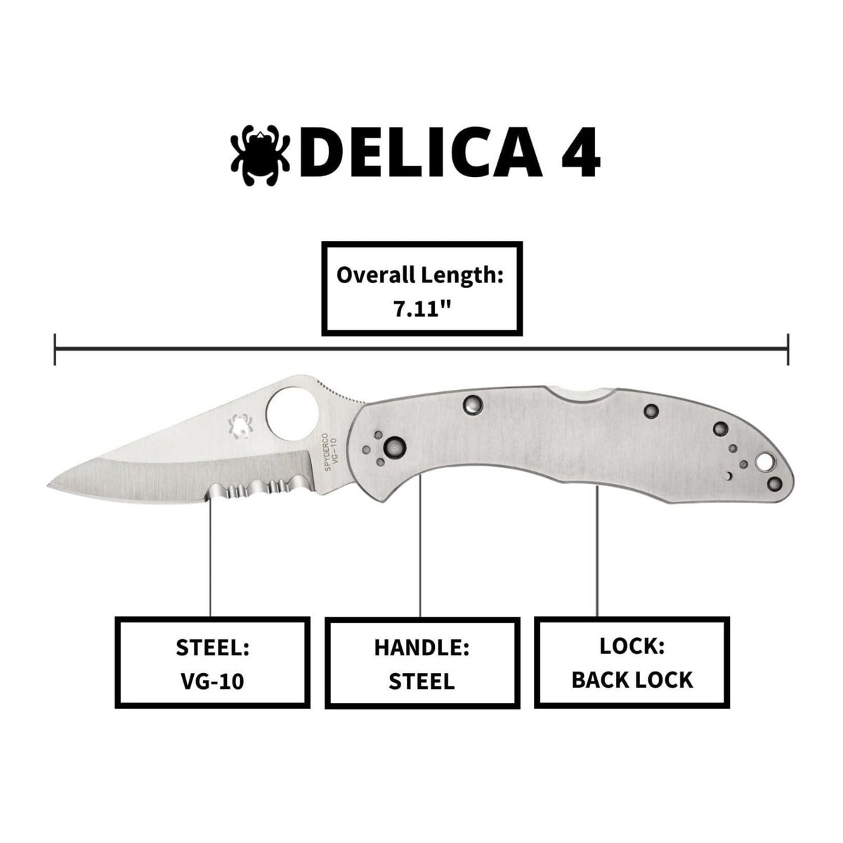 Spyderco Delica 4 Signature Knife with 2.95 Inch VG-10 Steel Blade and Stainless Steel Handle