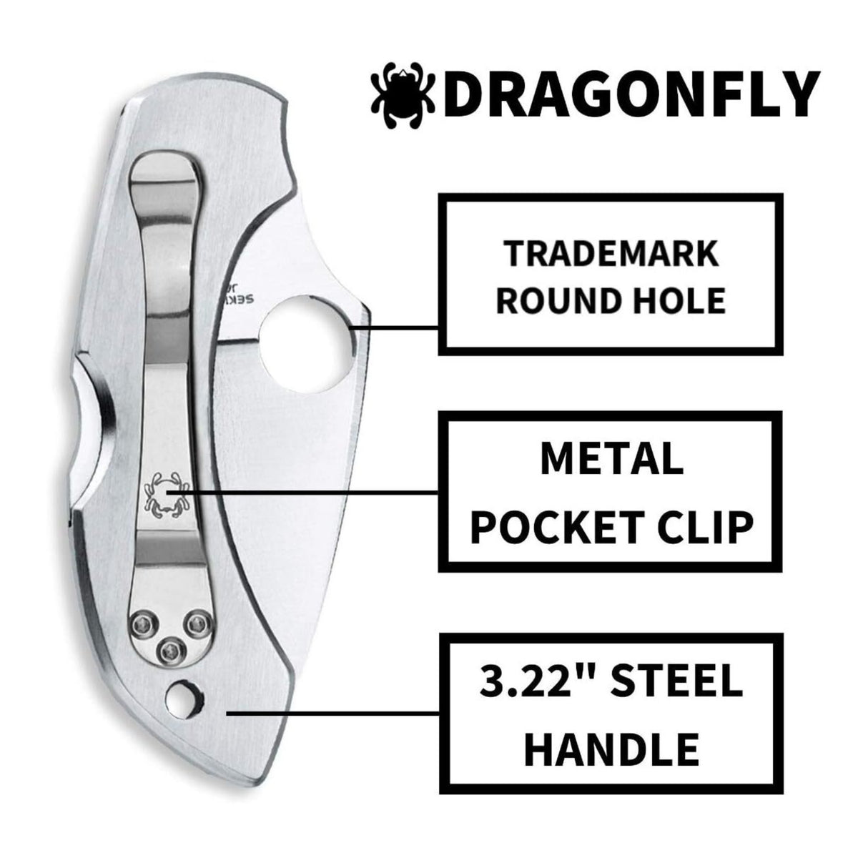 Spyderco Dragonfly Folding Knife - VG-10 PlainEdge Blade, Stainless Steel Handle, Back Lock